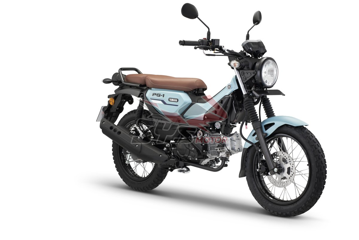 YAMAHA PG-1