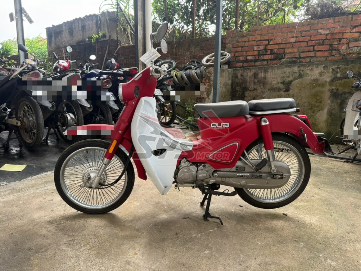 Foto 7